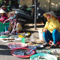 Вьетнам. Торговля рыбой. :: Евгений 