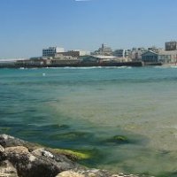 Старый порт Тель Авива :: Татьяна Сухова