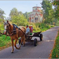 Деревенское такси. :: Роланд Дубровский