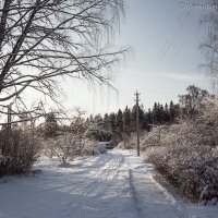Зима :: Борис Устюжанин