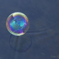 Полет мыльного пузыря :: Алексей Сердюк