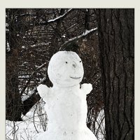 Снеговик живёт в лесу :: Alexei Kopeliovich