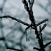 Ледяной дождь :: Анастасия Трунова
