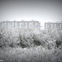 Зима в Краснодаре :: Dasha Bondar