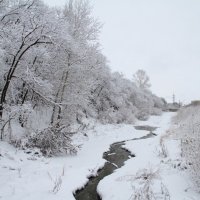 Снежный день :: Евгений Уваров