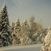Зима :: Владимир 