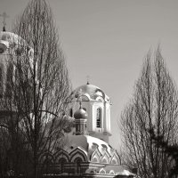 вид на храм :: елена брюханова
