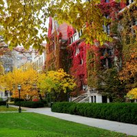 University of Chicago, Fall 2013 :: Vladislav N Zyryanov 