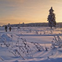 Вечернею тропой :: Наталья Гжельская