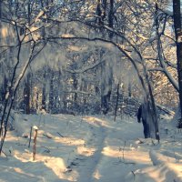Снег летит :: Juliya Fokina