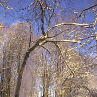 Сбили снег :: Juliya Fokina