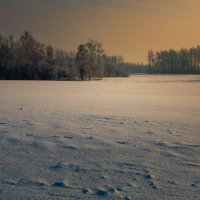 Зимой :: Андрей Гусев