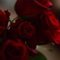 roses :: keil_mass 
