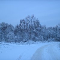 Зимнее утро :: Геннадий Репьевский