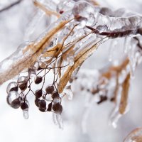 Ледяные оковы.. :: Ирина Лядова