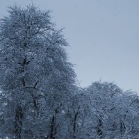 Зима :: Анна Чигряй