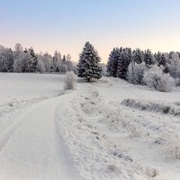 Зима в Финляндии. :: Elena Klimova