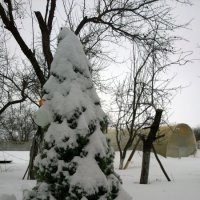 Зима пришла!!! :: Виталий Бережной
