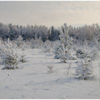 ** :: Андрей Зайцев