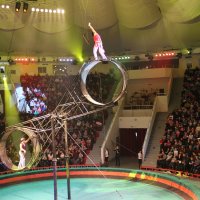 Алматинский цирк :: Жасулан N