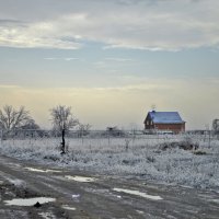 противостояние :: Наталия Рой