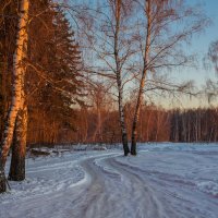 Утро в лесу. :: Igor Yakovlev