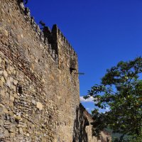 Грузия,Старая крепость :: lyuda Karpova