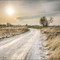Зима :: Андрей Черненко
