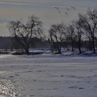 НАСТ (Снег покрылся слепительно блестящей коркой) :: Владимир ЯЩУК