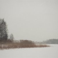 Зимой :: Иван Евгеньев