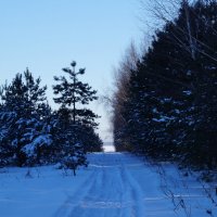 Зимняя дорога :: Андрей Воробьев