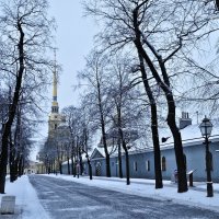 Питерская зарисовка. :: Андрей В.