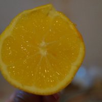 остаток лимона :: Karlygash Khassenova