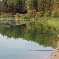 Летняя рыбалка :: Алина Тазова