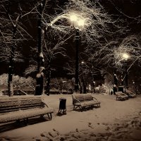 Зимний вечер в Покровском сквере. :: Игорь Найда