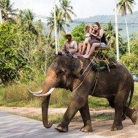 Таиланд, катание на слонах :: Татьяна Бральнина