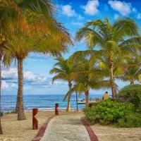 Cancun beach. :: Gene Brumer