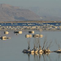 На Мертвом море :: susanna vasershtein