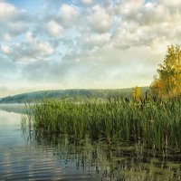 Купалось небо в озере :: Олег Сонин