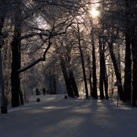 зима в парке 2 :: Андрей С