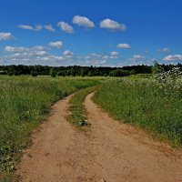 Дорога в лето :: Владимир Воробьев