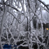 Зима :: Дмитрий Линник