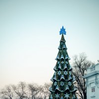 Новогодняя ёлка Одессы :: Игорь Стародубец