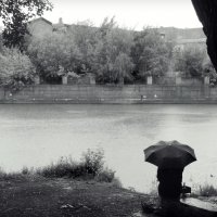 Мокрое лето :: sv.kaschuk 