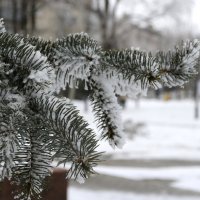 Зима :: Дмитрий Линник