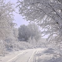 Зима 2014 :: Табаско Перчик