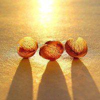 Три орешка...а орешки не простые,все скорлупки золотые :: Гузель Т
