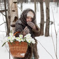 за подснежниками :: Лариса Захарова