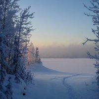 Зимняя зарисовка. :: Геннадий Северный