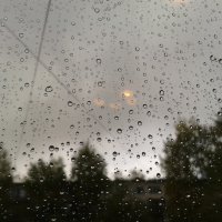 дождь :: Лилия 